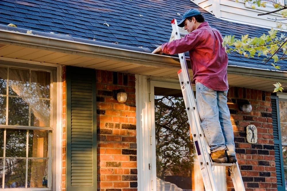 Protect Your Investment: Professional Roof Maintenance in Andover, MN