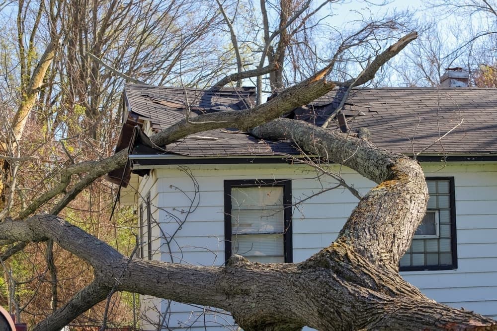 Emergency Roof Repairs: What to Do When You Can’t Wait for Regular Service!
