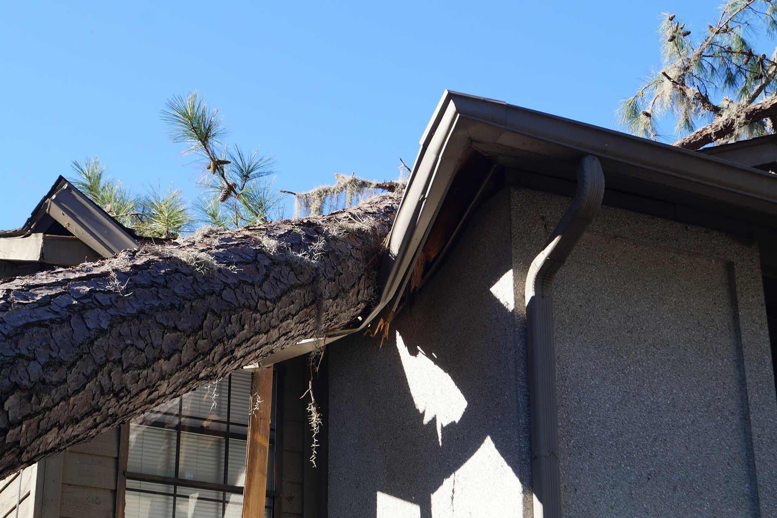 Storm damage restoration and repair in Minnesota