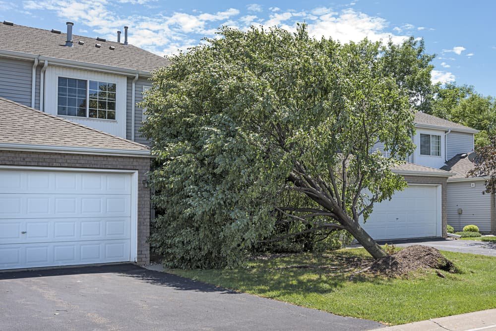 Andover, MN Storm Damage Restoration